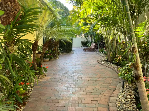 a yellow and red flowers sitting in the middle of a yard