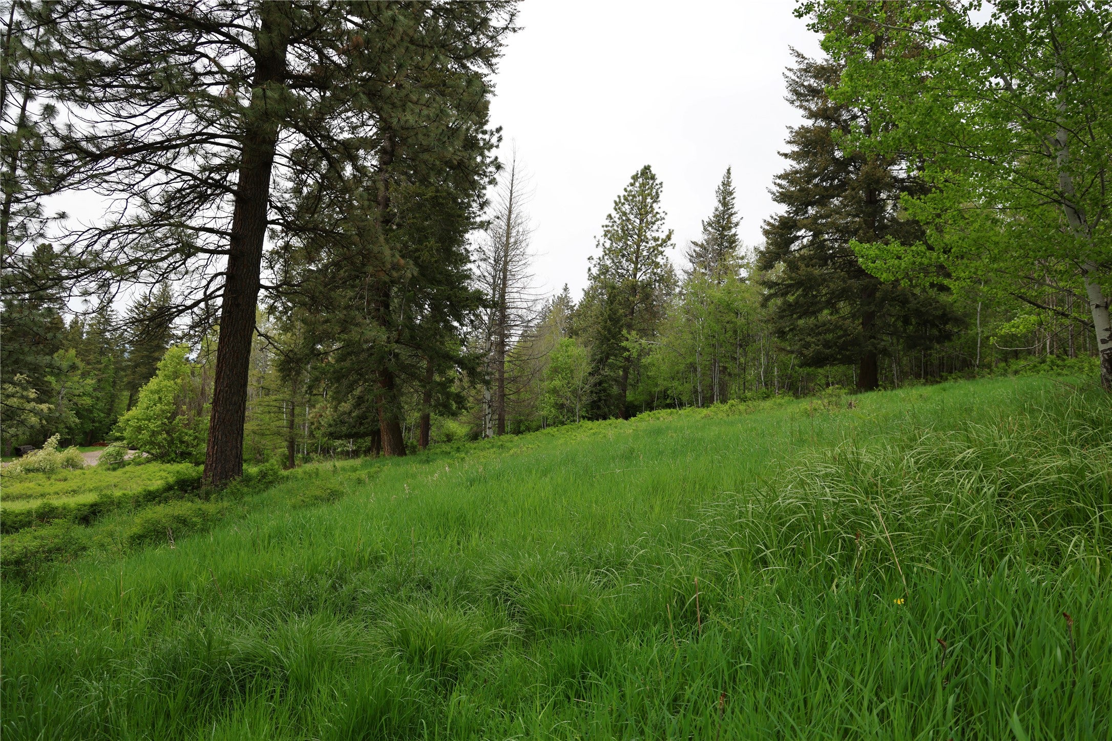 41694 Canal Road Ronan, MT 59864 - Photo 10 of 69 Gallery Image 10