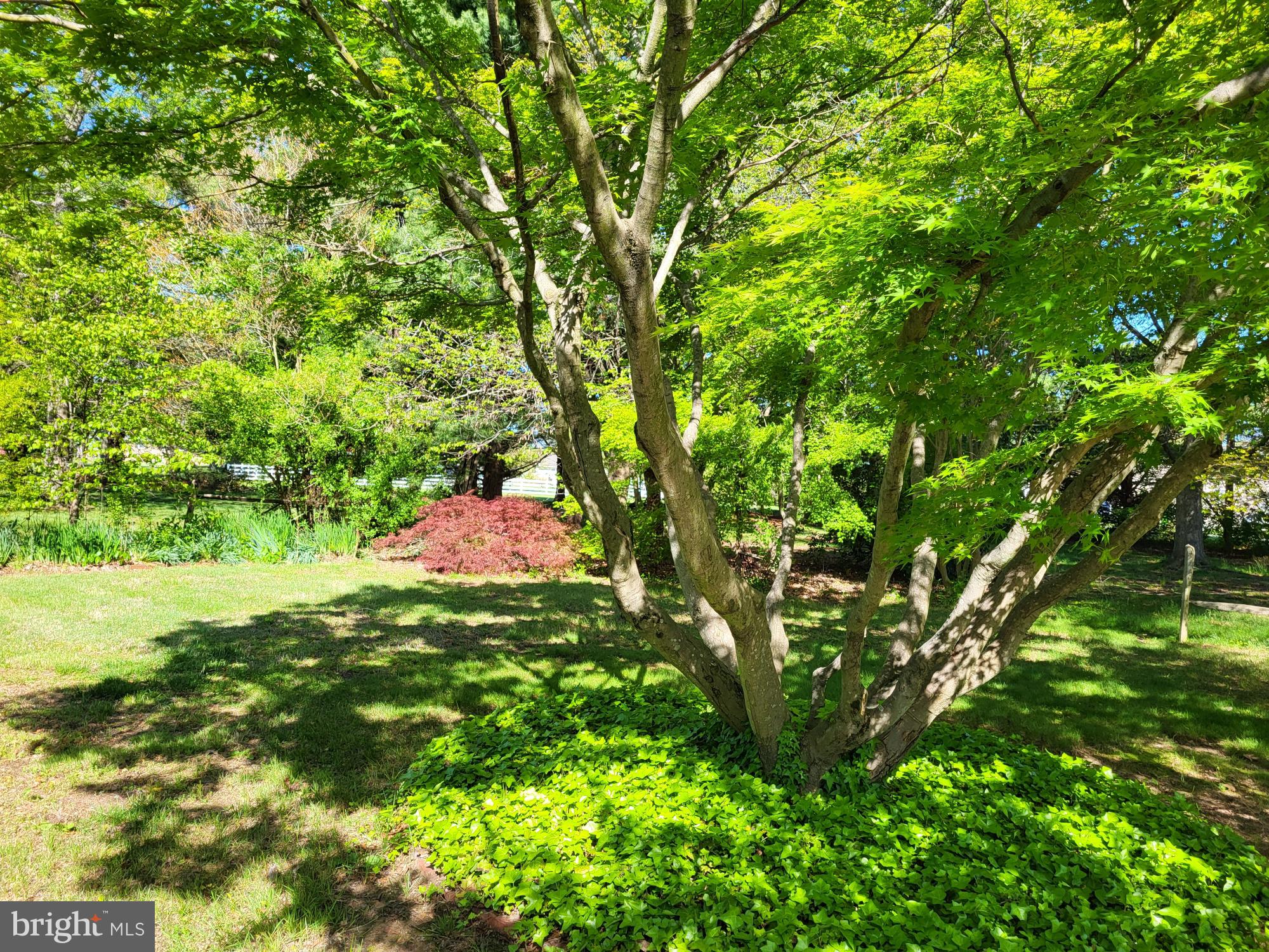 218 Woods Road Chester, MD 21619 - Photo 5 of 7