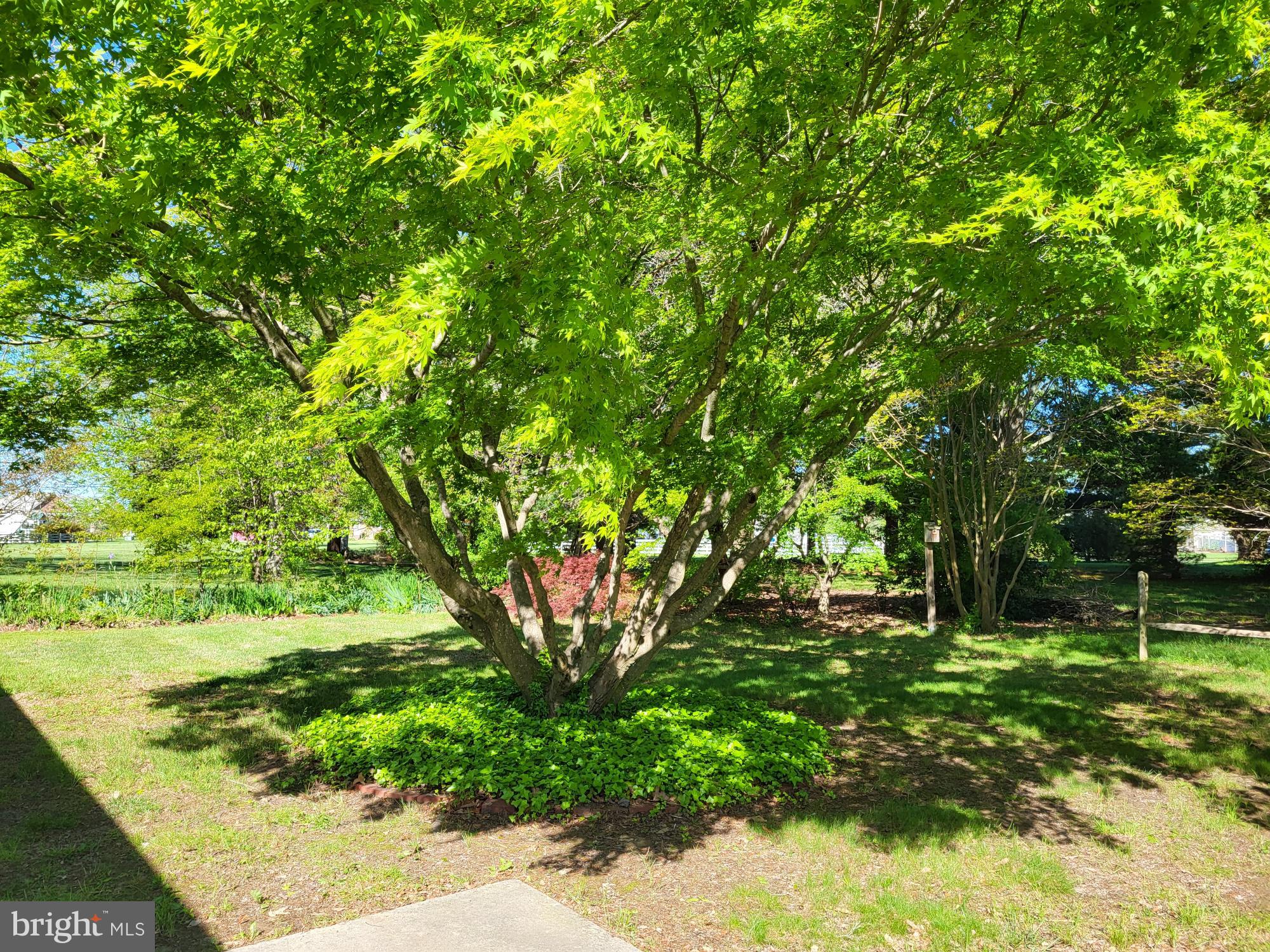 218 Woods Road Chester, MD 21619 - Photo 6 of 7