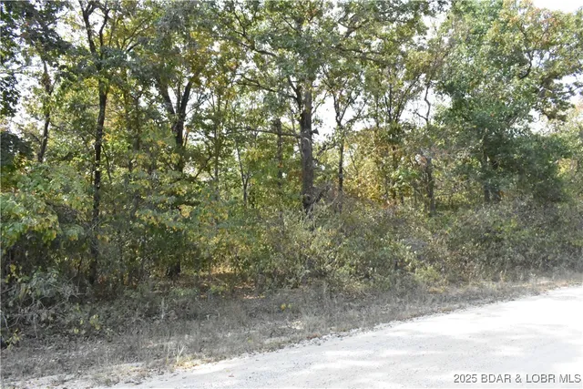 $45,000 | Tbd Stoney Oak Drive, Gravois Mills, MO 65037