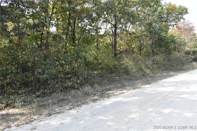 $45,000 | Tbd Stoney Oak Drive, Gravois Mills, MO 65037