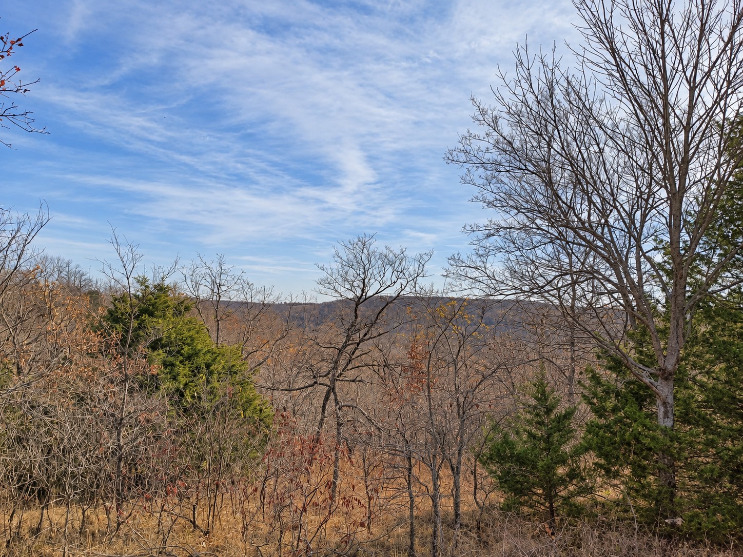 0 966th Road Vian, OK 74962 - Photo 1 of 4 Expansive natural landscape with varied mature trees and distant hills under a broad sky