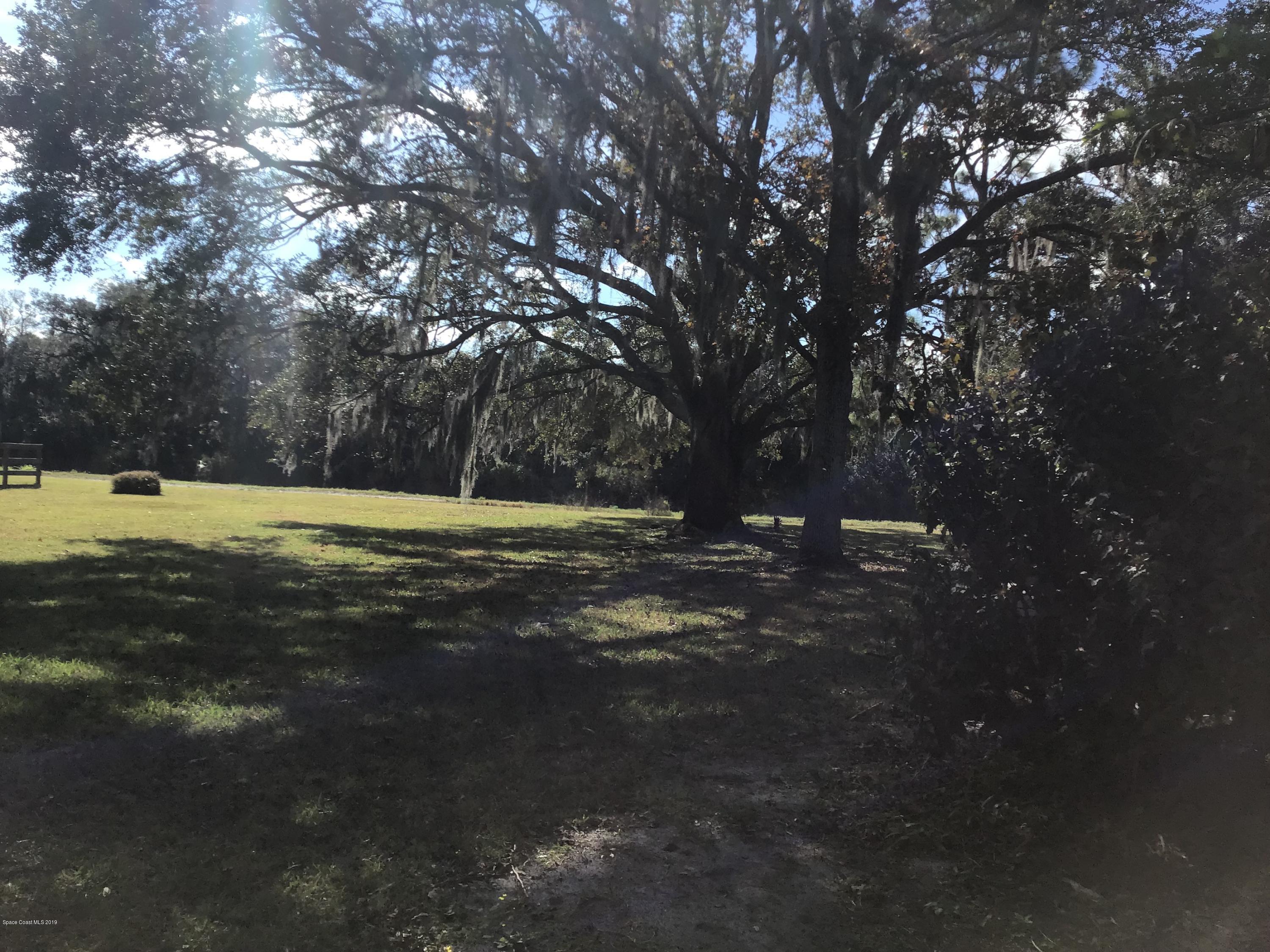 1350 Meadowbrook Road Northeast Palm Bay, FL 32905 - Photo 25 of 55 a view of a yard with a large tree