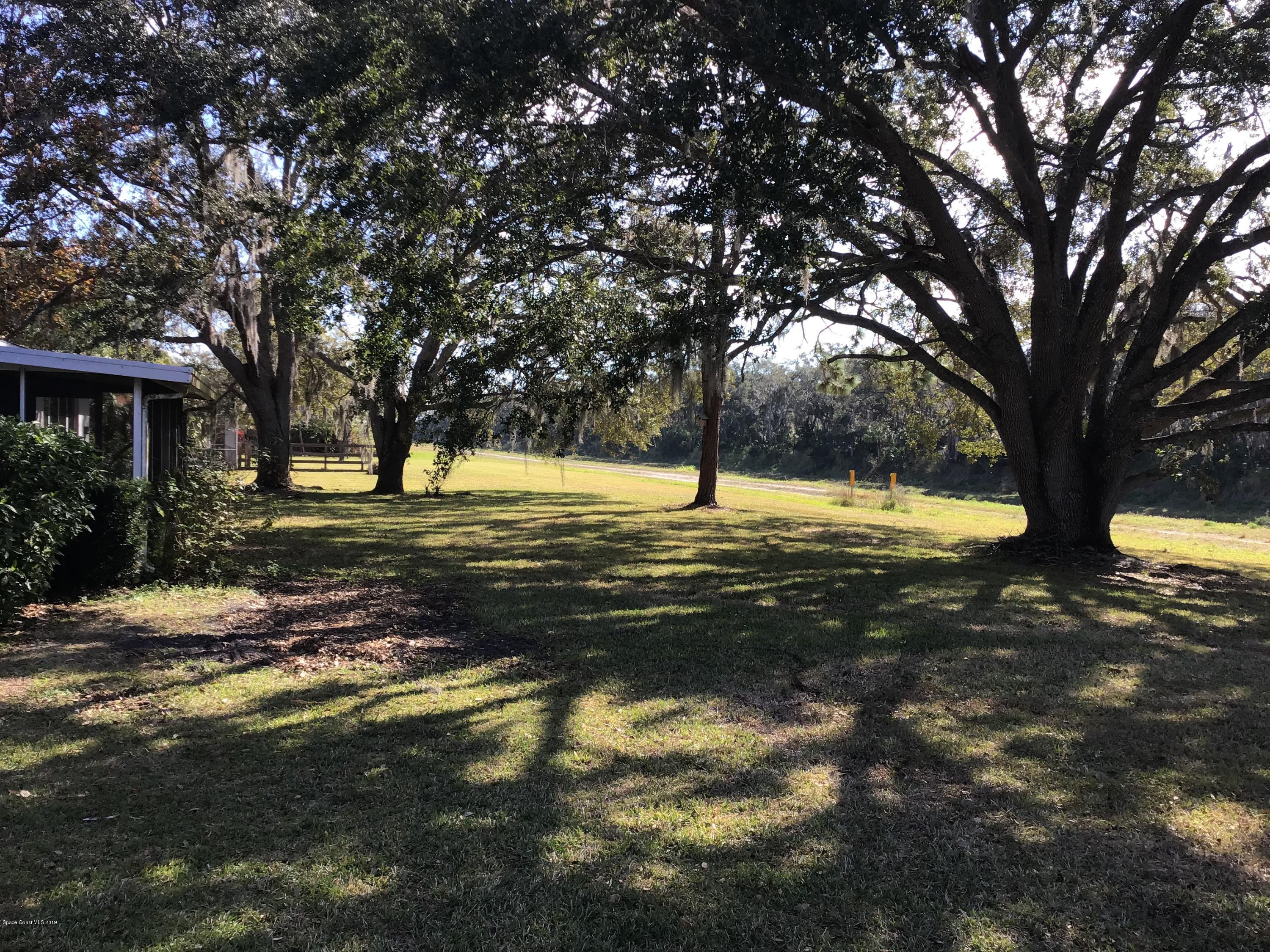 1350 Meadowbrook Road Northeast Palm Bay, FL 32905 - Photo 8 of 55 a view of a yard with a tree