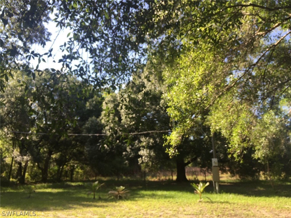 2998 Loblolly Bay Road Southwest LaBelle, FL 33935 - Photo 8 of 28 Gallery Image 8