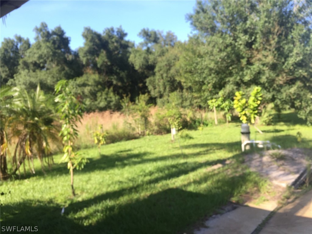 2998 Loblolly Bay Road Southwest LaBelle, FL 33935 - Photo 9 of 28 Gallery Image 9