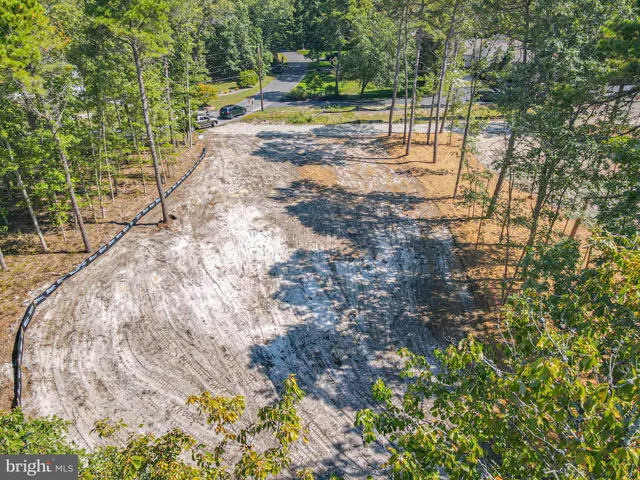 a view of yard with tree