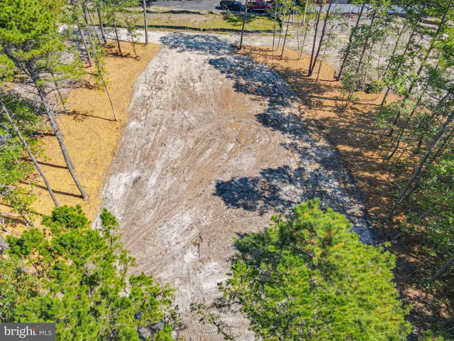 a view of water area with trees