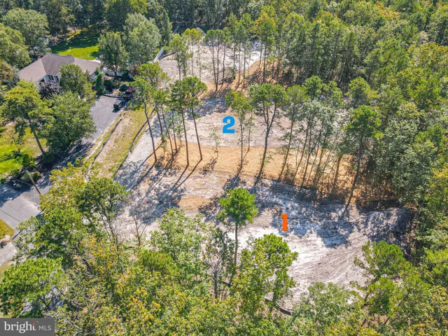 a view of a dry yard with lots of green space
