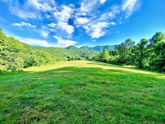 160 Morton Road Hampton, TN 37658 - Photo 1 of 18 IMG_1239