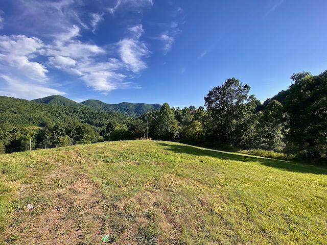 160 Morton Road Hampton, TN 37658 - Photo 11 of 18 IMG_1217