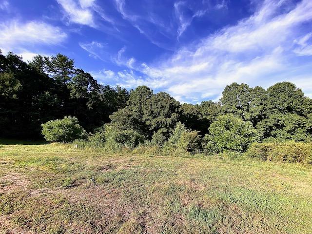 160 Morton Road Hampton, TN 37658 - Photo 14 of 18 IMG_1236