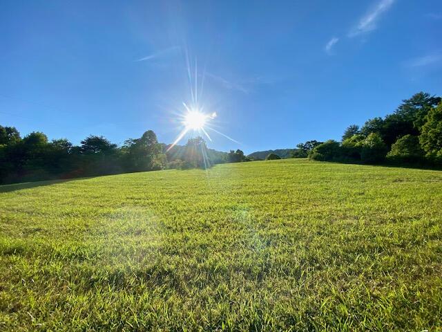160 Morton Road Hampton, TN 37658 - Photo 16 of 18 IMG_1234