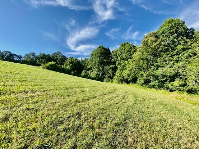 160 Morton Road Hampton, TN 37658 - Photo 17 of 18 IMG_1233