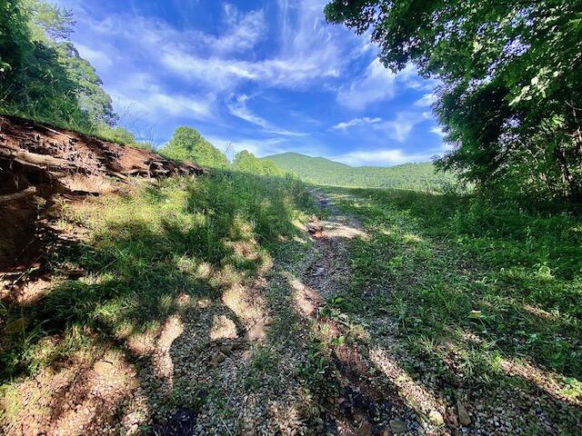 160 Morton Road Hampton, TN 37658 - Photo 5 of 18 IMG_1224