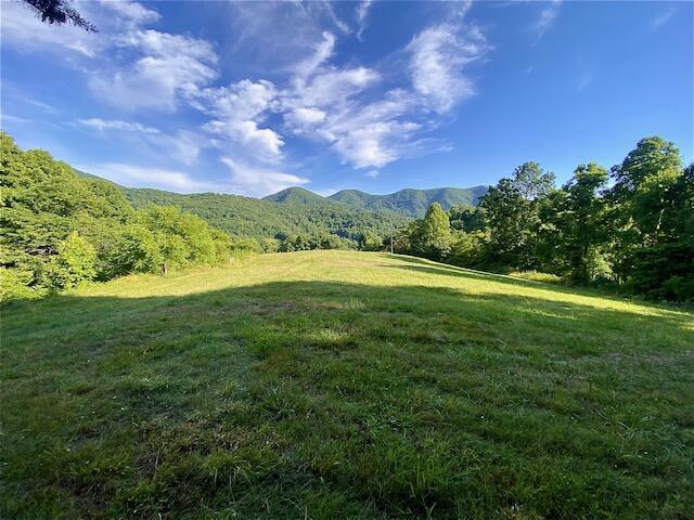 160 Morton Road Hampton, TN 37658 - Photo 10 of 18 IMG_1219