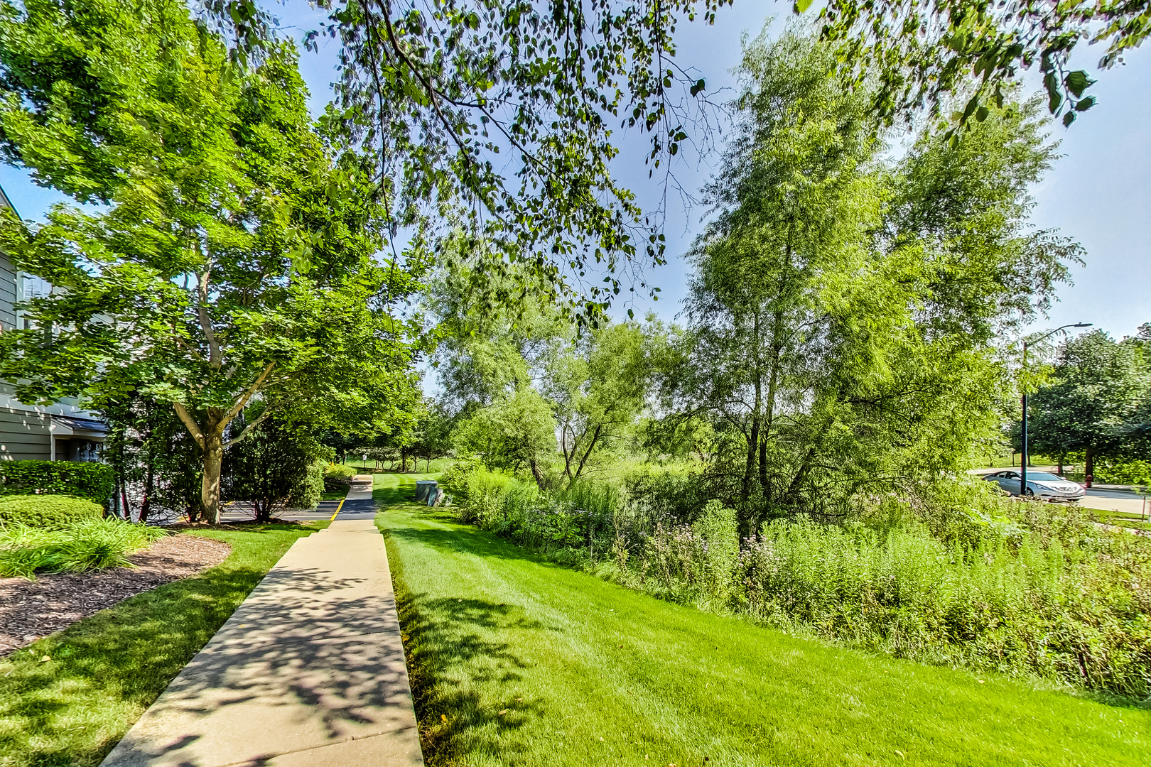 1052 Reserve Drive Elgin, IL 60123 - Photo 6 of 40 a view of a yard with plants and large trees