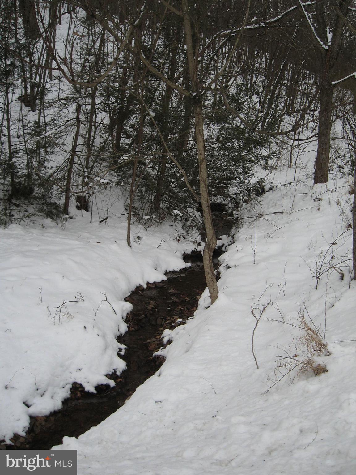 2562 Virginia Line Road Berkeley Springs, WV 25411 - Photo 4 of 45 rippling stream beside house