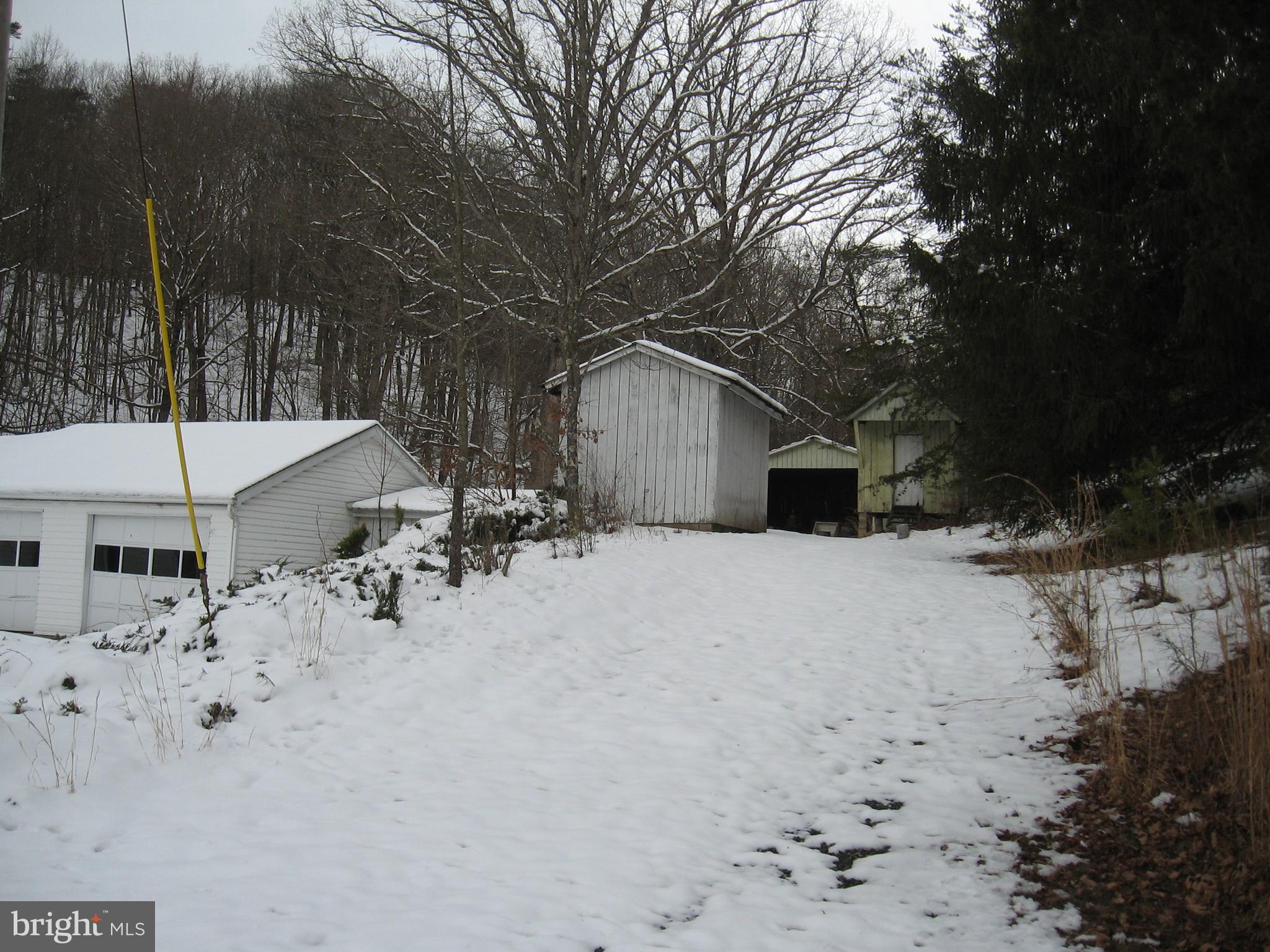 2562 Virginia Line Road Berkeley Springs, WV 25411 - Photo 6 of 45 upper driveway to access buildings