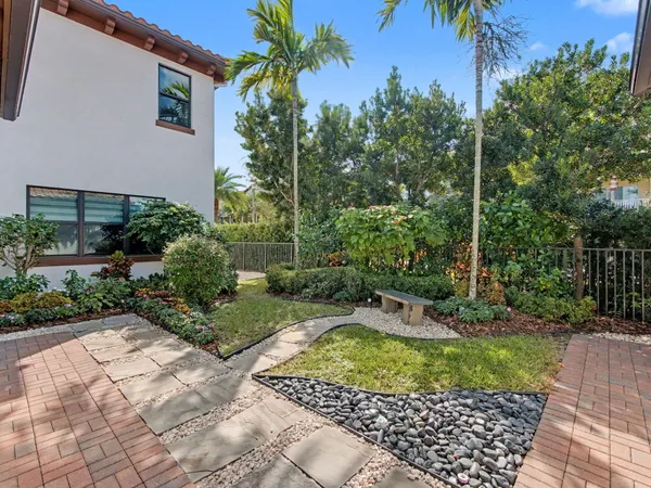 a view of a backyard with plants and trees