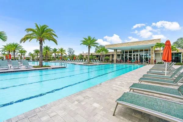 a view of a swimming pool with a lawn chairs and palm trees
