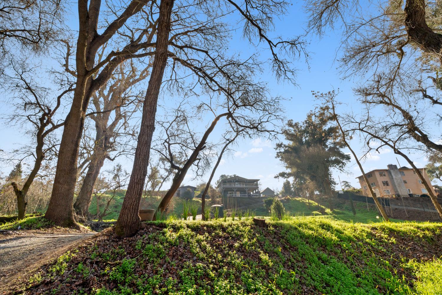 13355 Lancaster Road Oakdale, CA 95361 - Photo 5 of 77