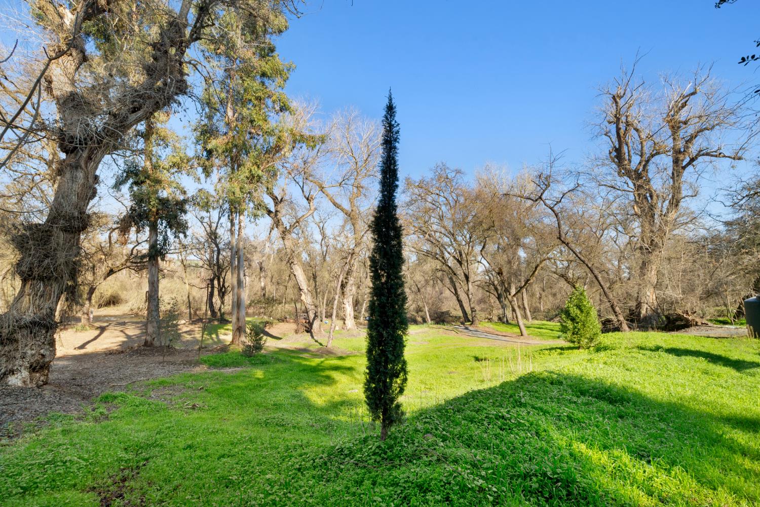 13355 Lancaster Road Oakdale, CA 95361 - Photo 7 of 77