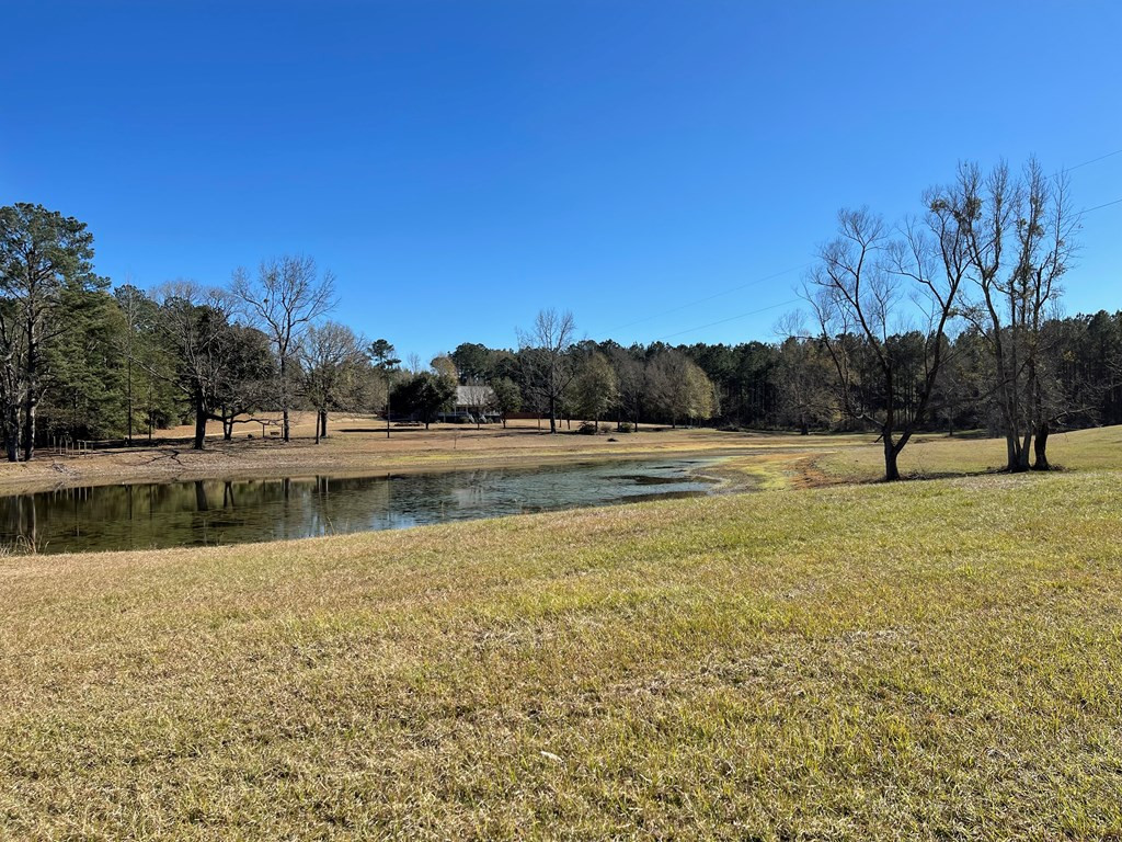 6230 Hamp Lea Road Liberty, MS 39645 - Photo 18 of 19 Photo 18