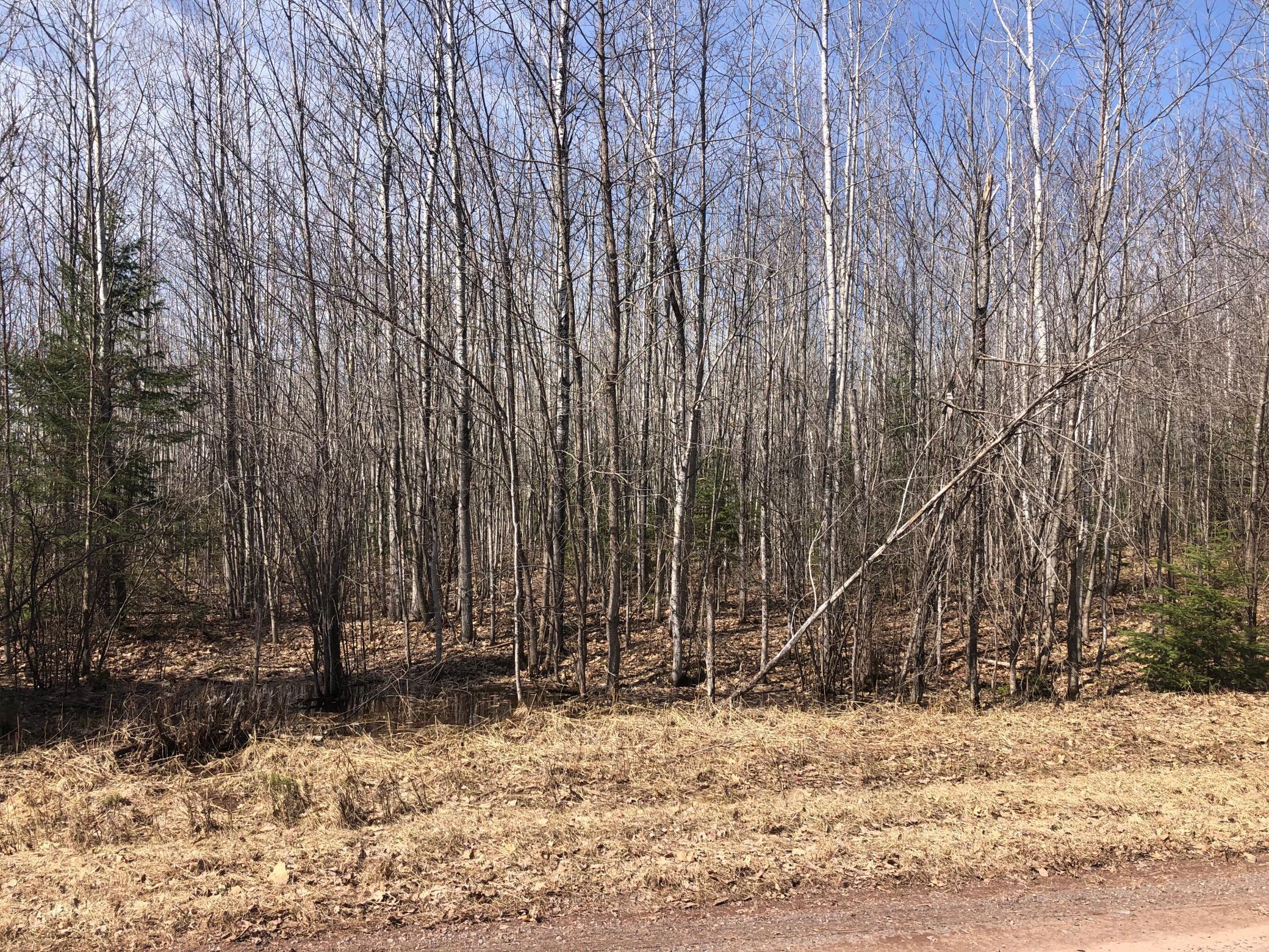 1 Brothers Loop Road Solon Springs, WI 54873 - Photo 7 of 12