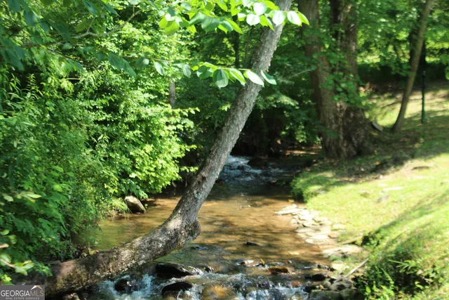 a view of backyard with green space