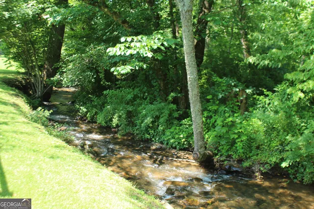 a view of a forest with trees