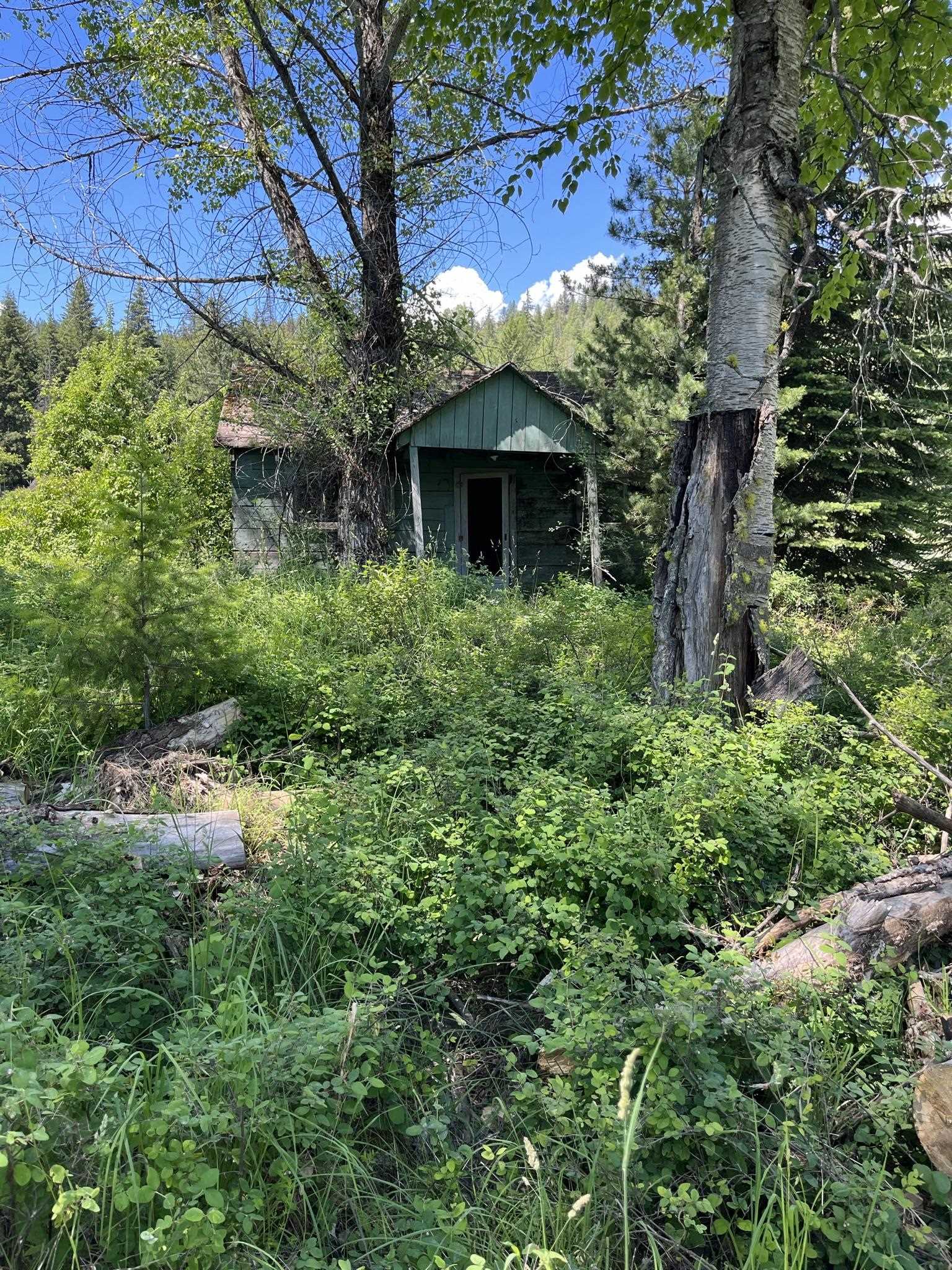 3835 Deep Lake Boundary Road Colville, WA 99114 - Photo 11 of 20 Gallery Image 11