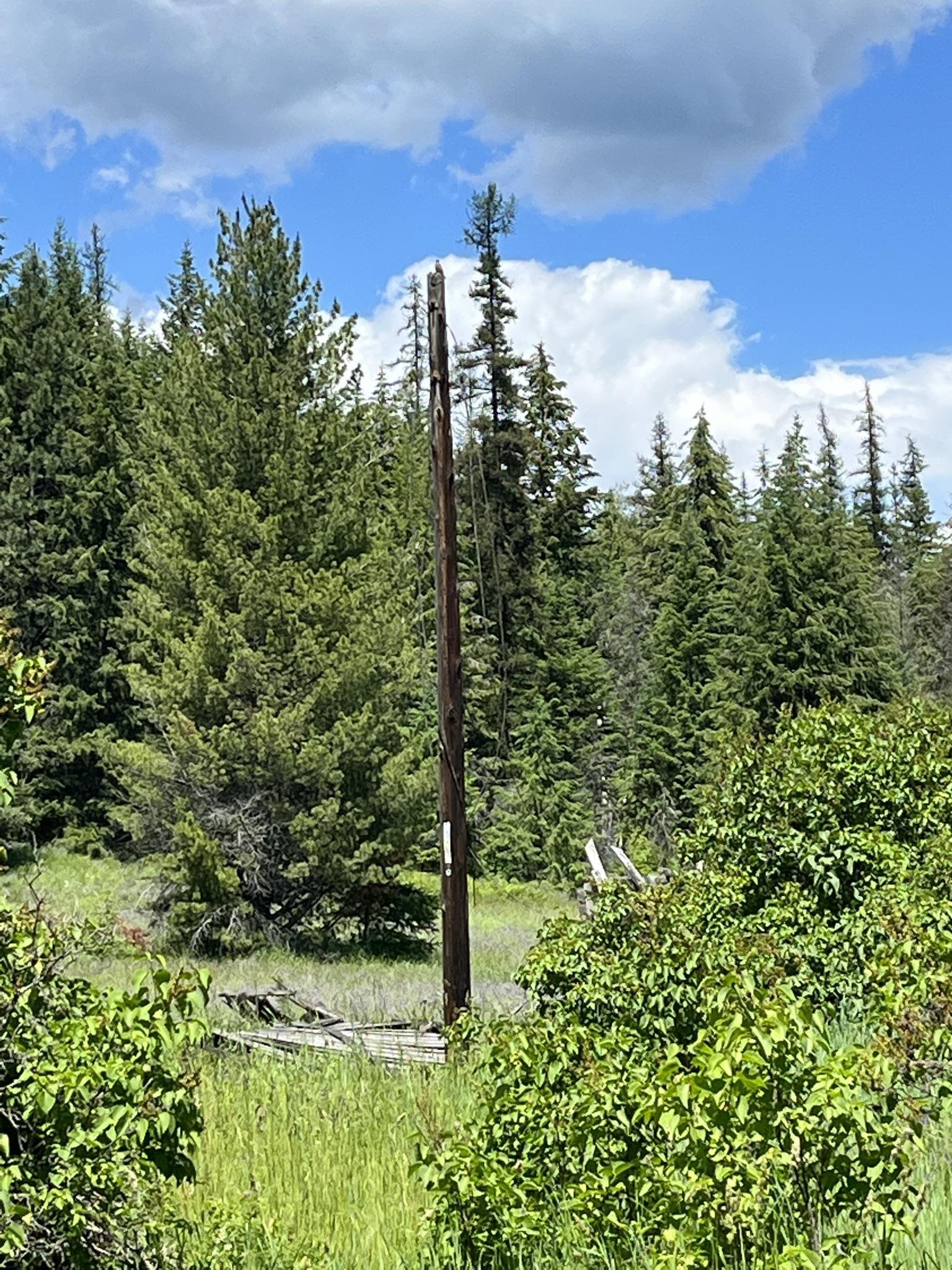 3835 Deep Lake Boundary Road Colville, WA 99114 - Photo 16 of 20 Gallery Image 16