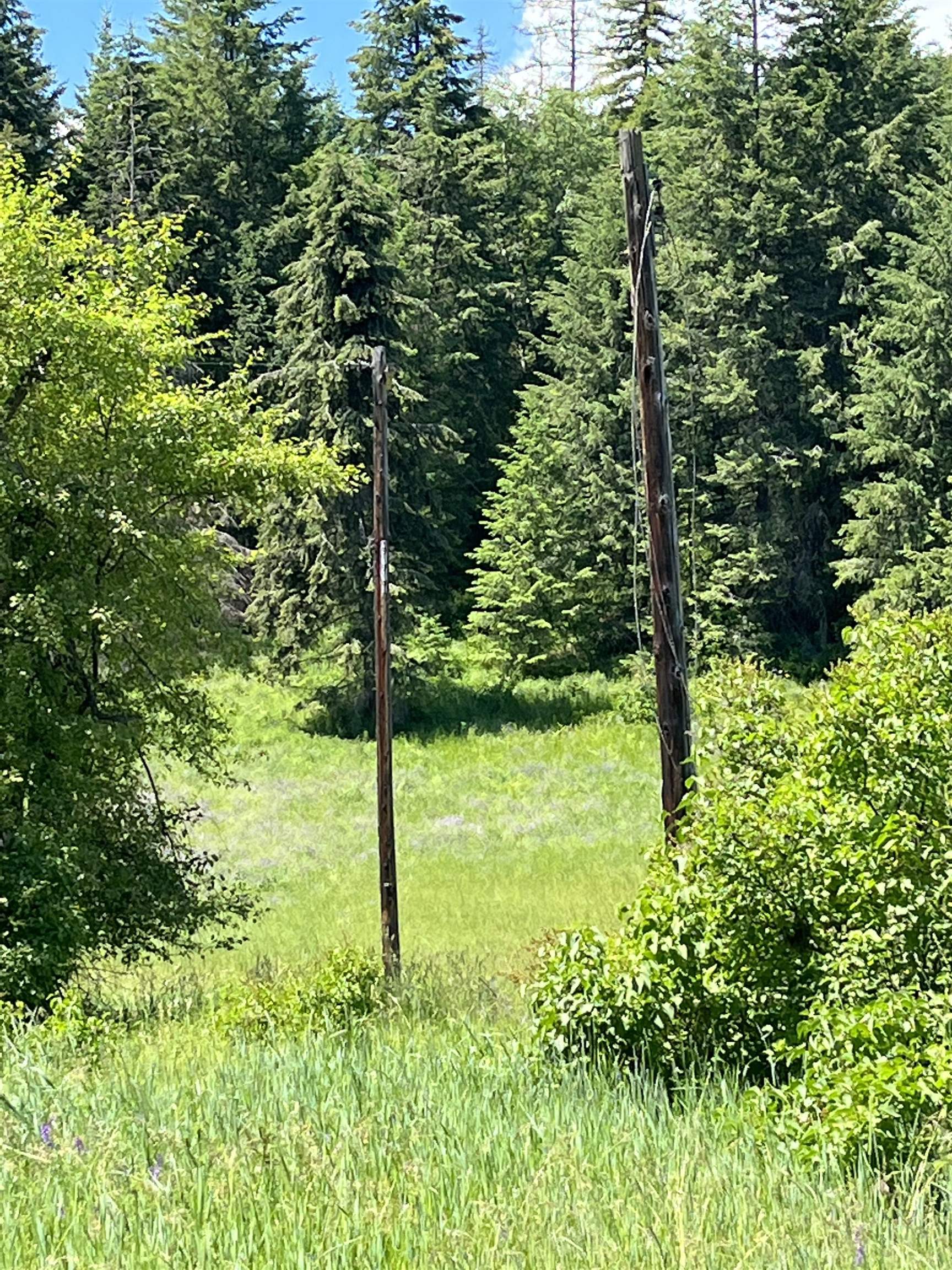 3835 Deep Lake Boundary Road Colville, WA 99114 - Photo 17 of 20 Gallery Image 17
