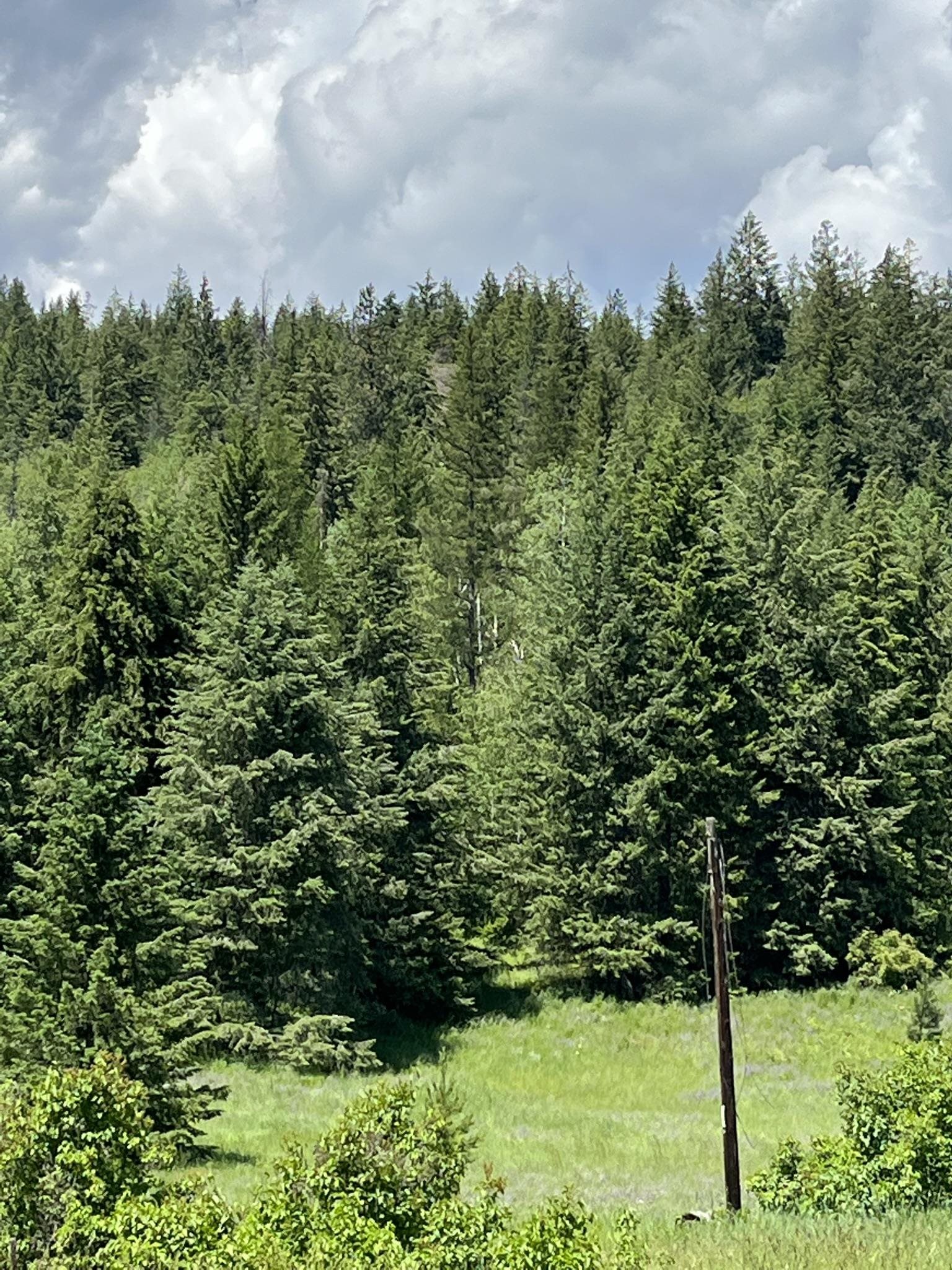 3835 Deep Lake Boundary Road Colville, WA 99114 - Photo 18 of 20 Gallery Image 18