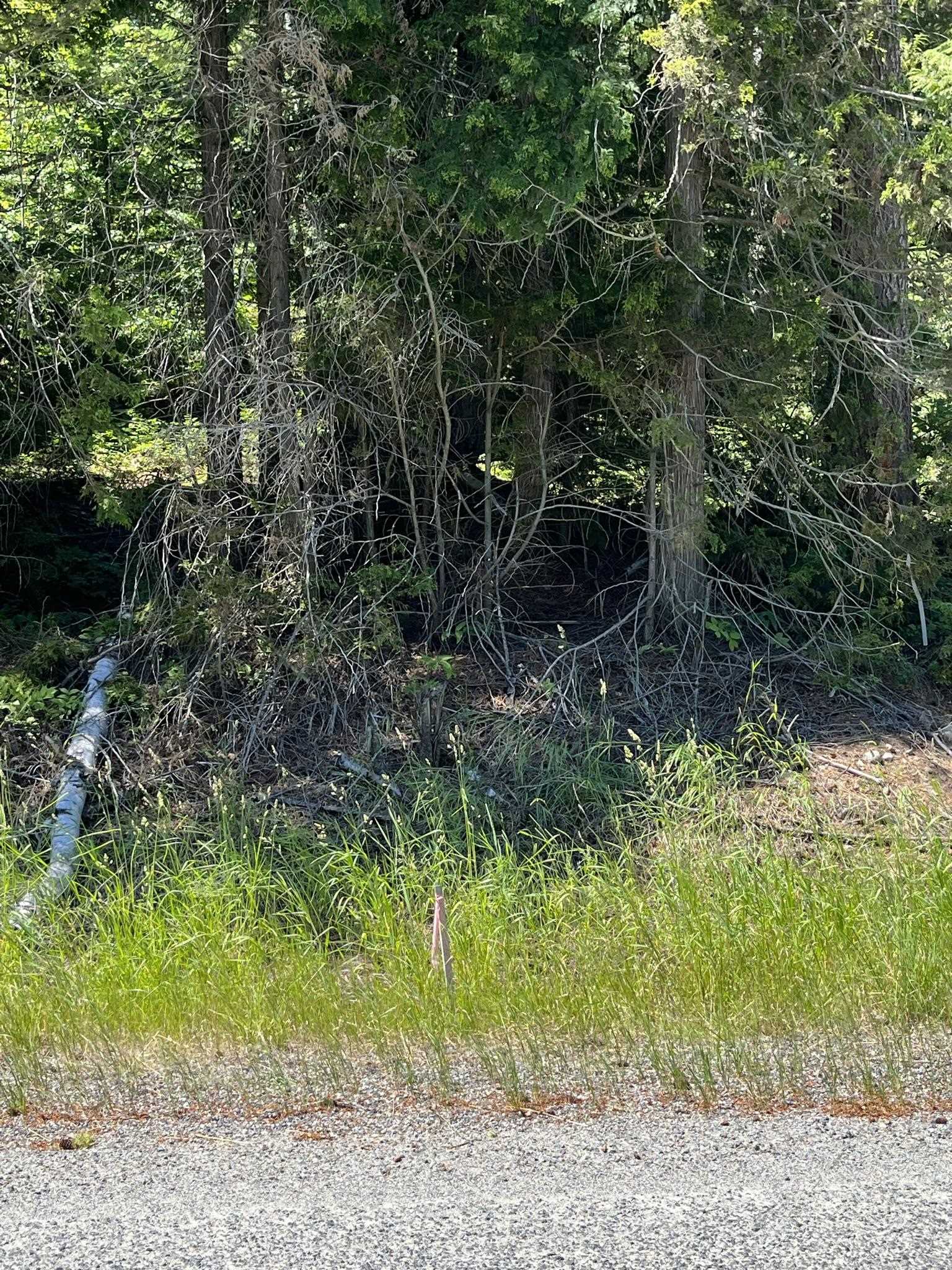 3835 Deep Lake Boundary Road Colville, WA 99114 - Photo 20 of 20 Gallery Image 20
