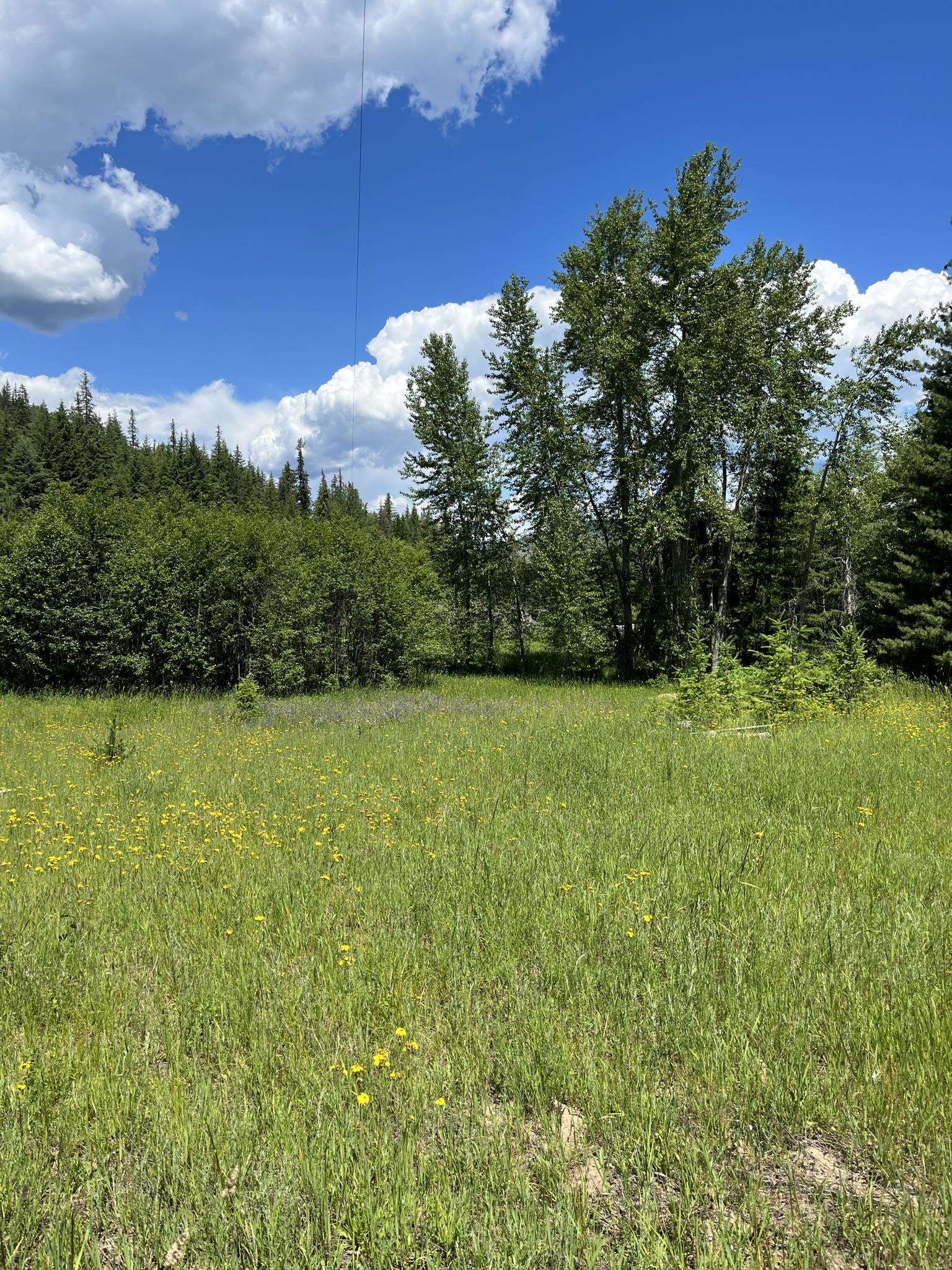 3835 Deep Lake Boundary Road Colville, WA 99114 - Photo 6 of 20 Gallery Image 6