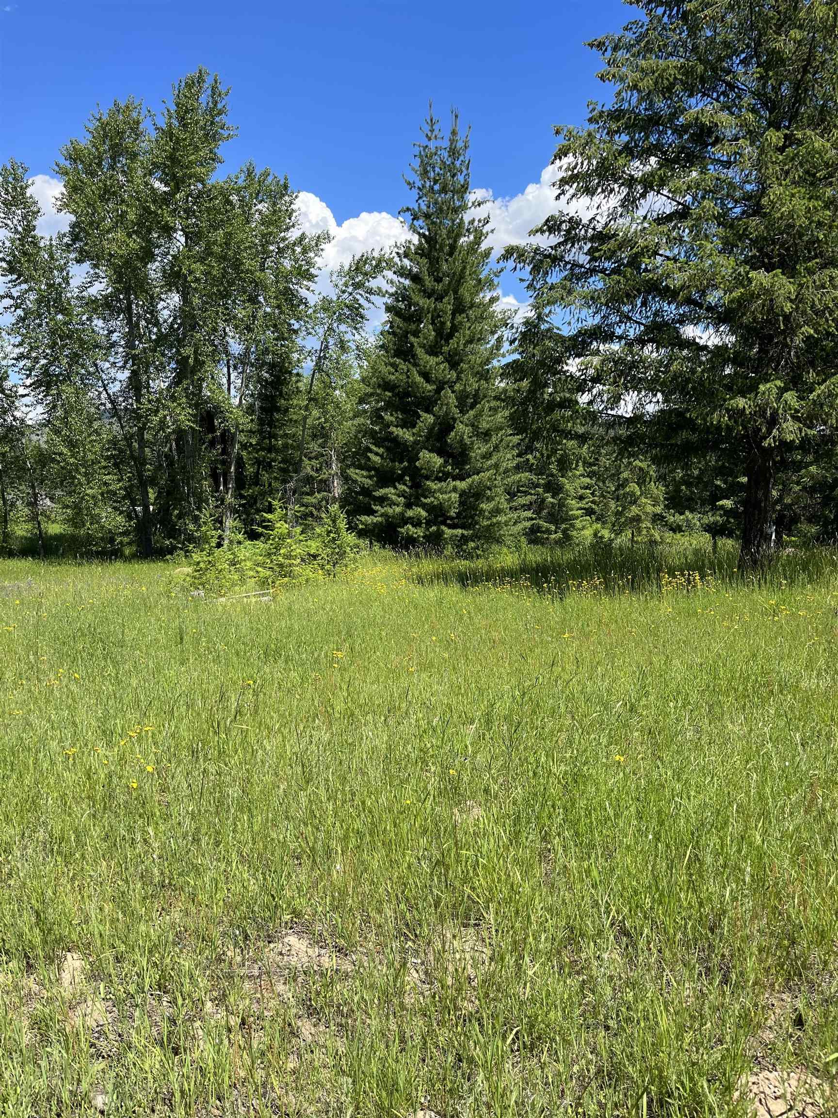 3835 Deep Lake Boundary Road Colville, WA 99114 - Photo 7 of 20 Gallery Image 7