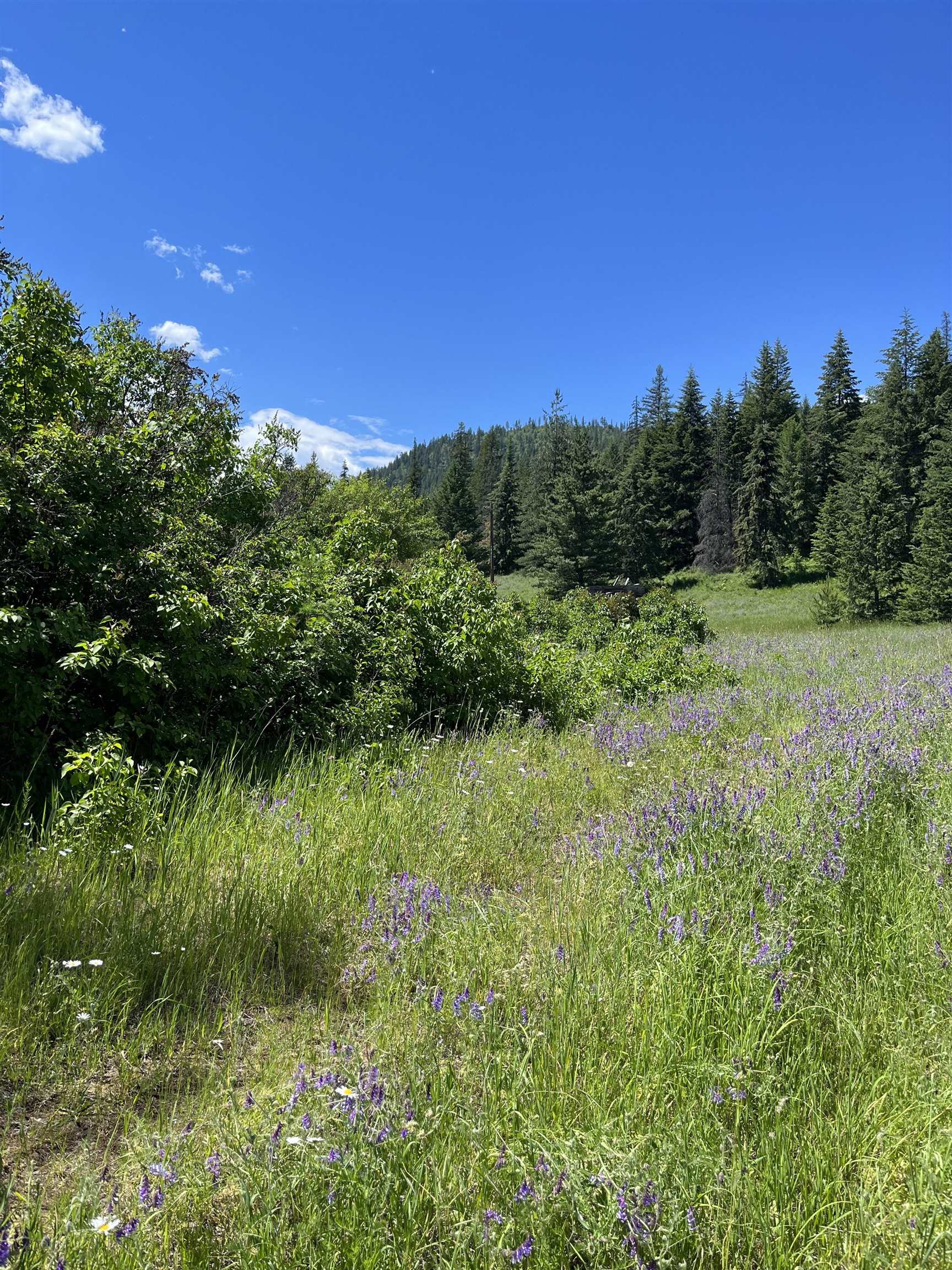 3835 Deep Lake Boundary Road Colville, WA 99114 - Photo 8 of 20 Gallery Image 8