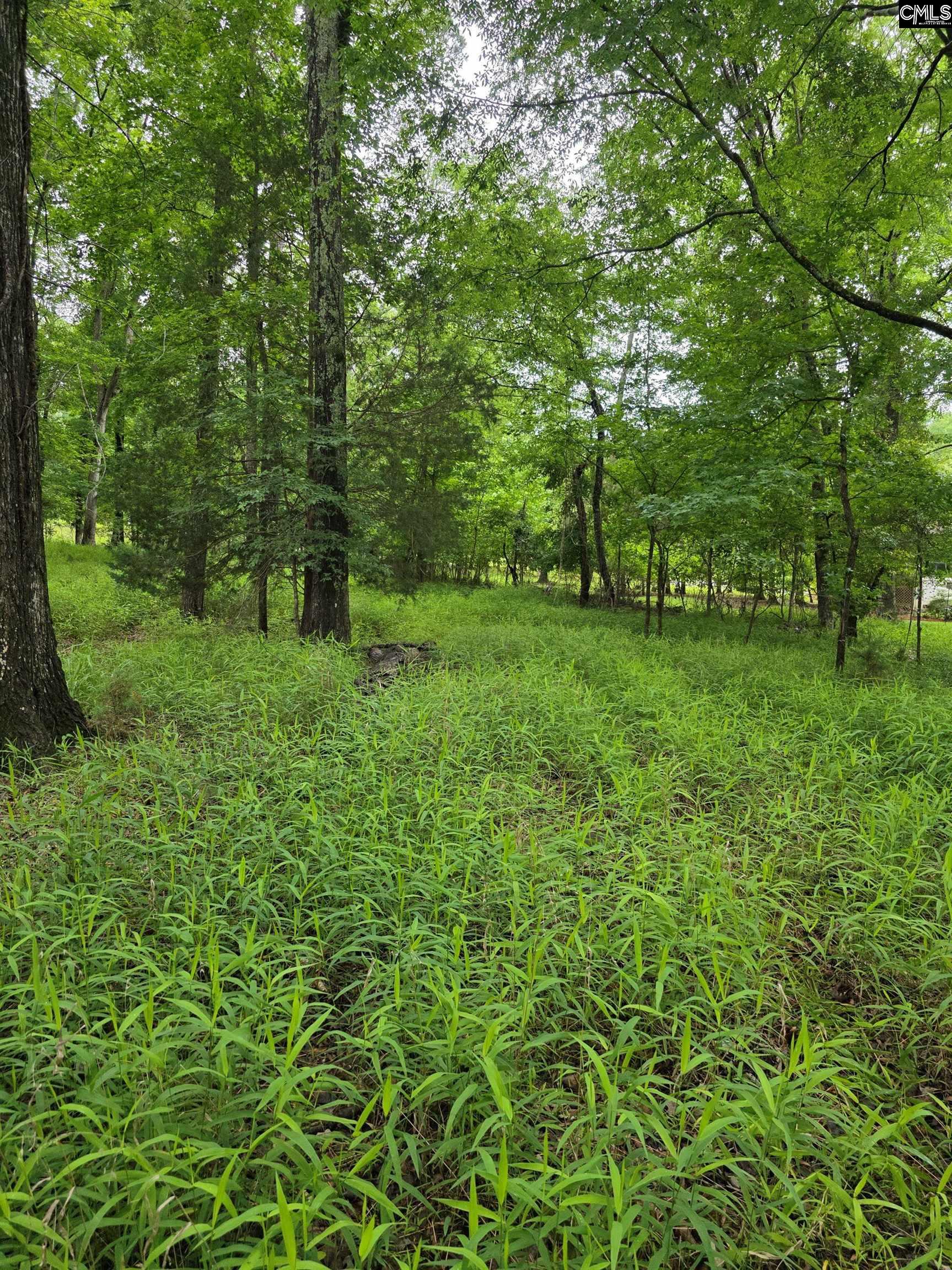 1595 State Rd S-20-317 Winnsboro, SC 29180 - Photo 8 of 8