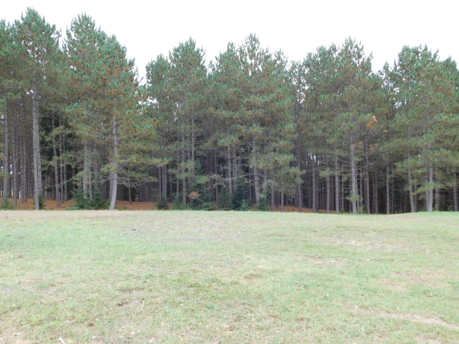 1713 Coupland Road Mio, MI 48647 - Photo 14 of 41 Gallery Image 14