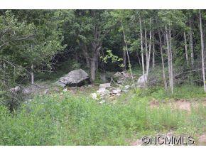 970 Sugar Cove Road Clyde, NC 28721 - Photo 21 of 21
