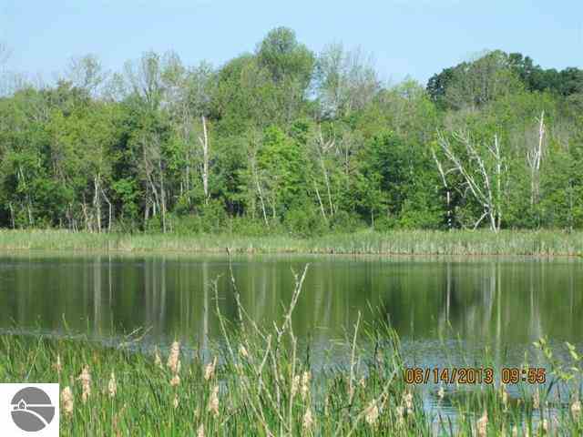 10650 South Mission Road Shepherd, MI 48883 - Photo 4 of 24 1814605-3.JPG