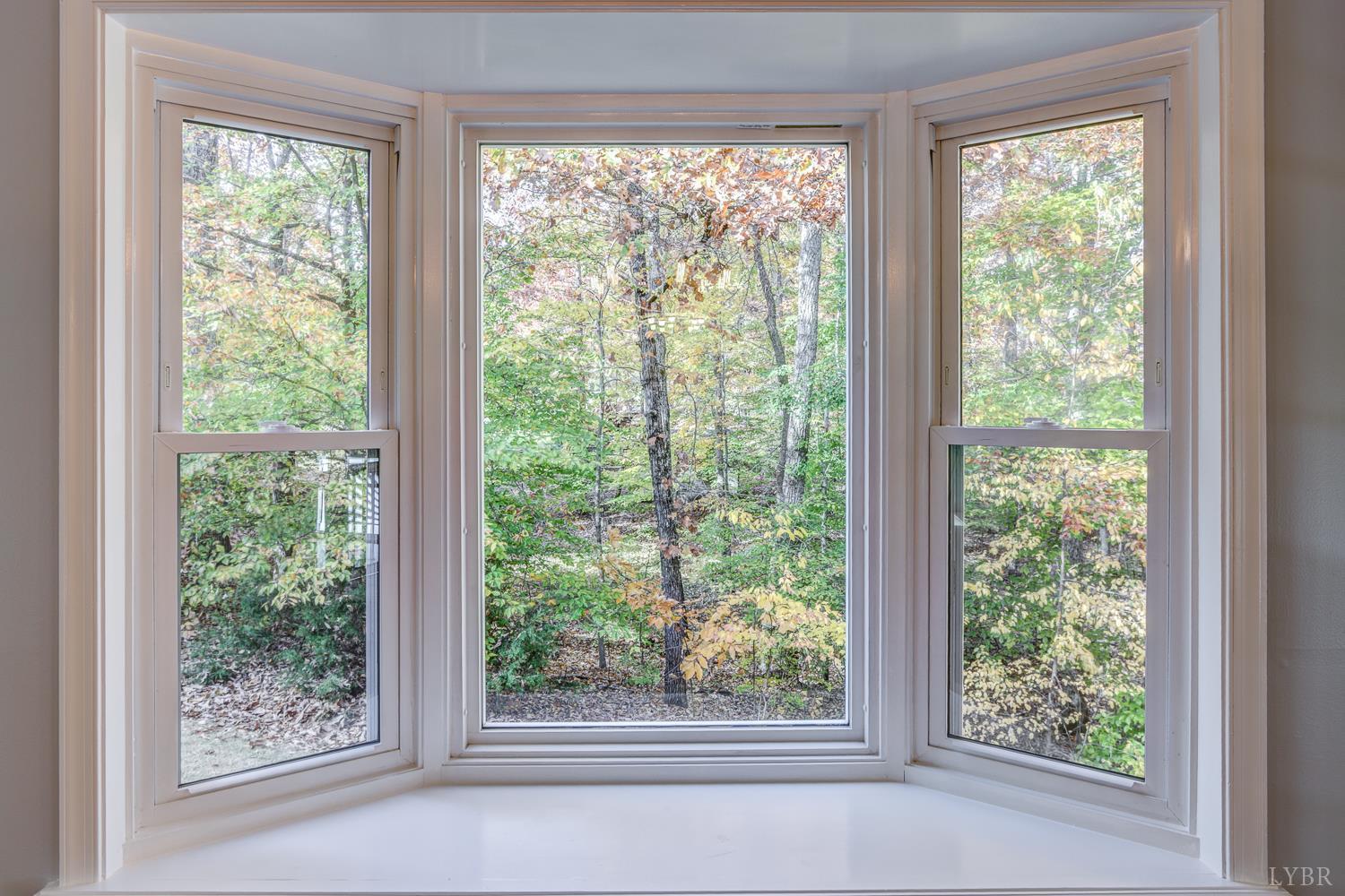 1151 Clarks Road Rustburg, VA 24588 - Photo 18 of 65