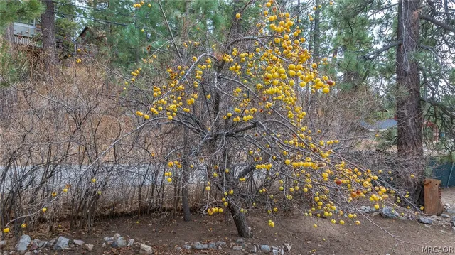 $309,900 | 1070 Comanche Drive, Fawnskin, CA 92333