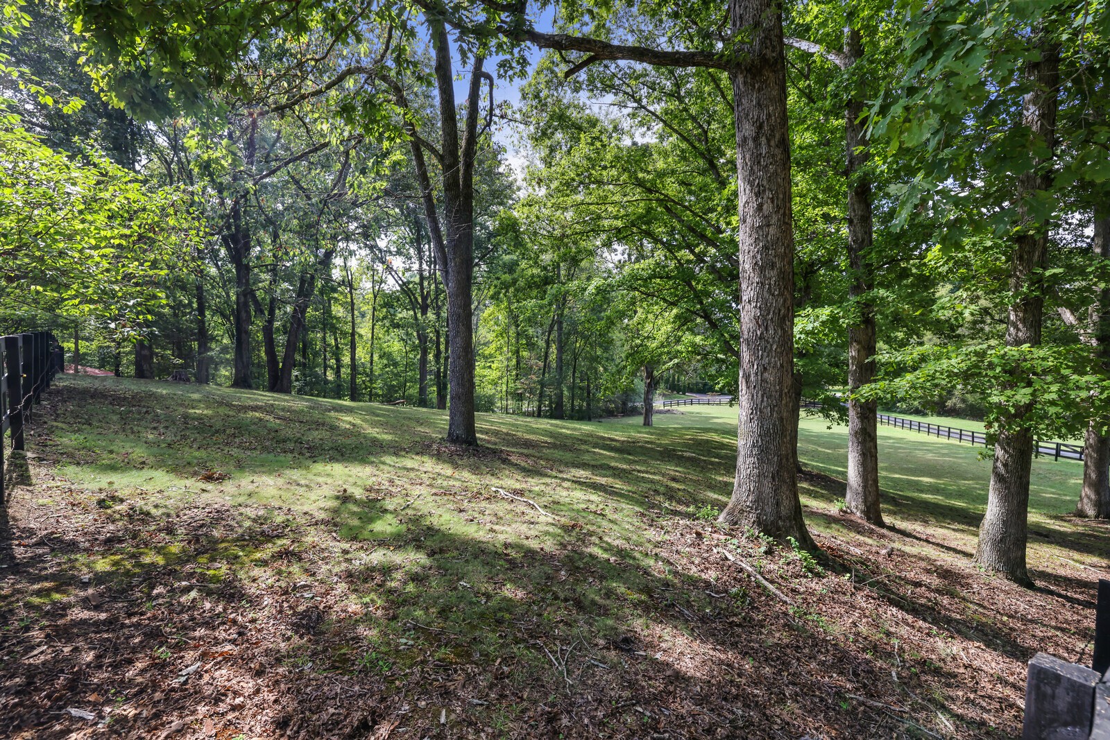 7201 Sleepy Hollow Road Fairview, TN 37062 - Photo 4 of 67