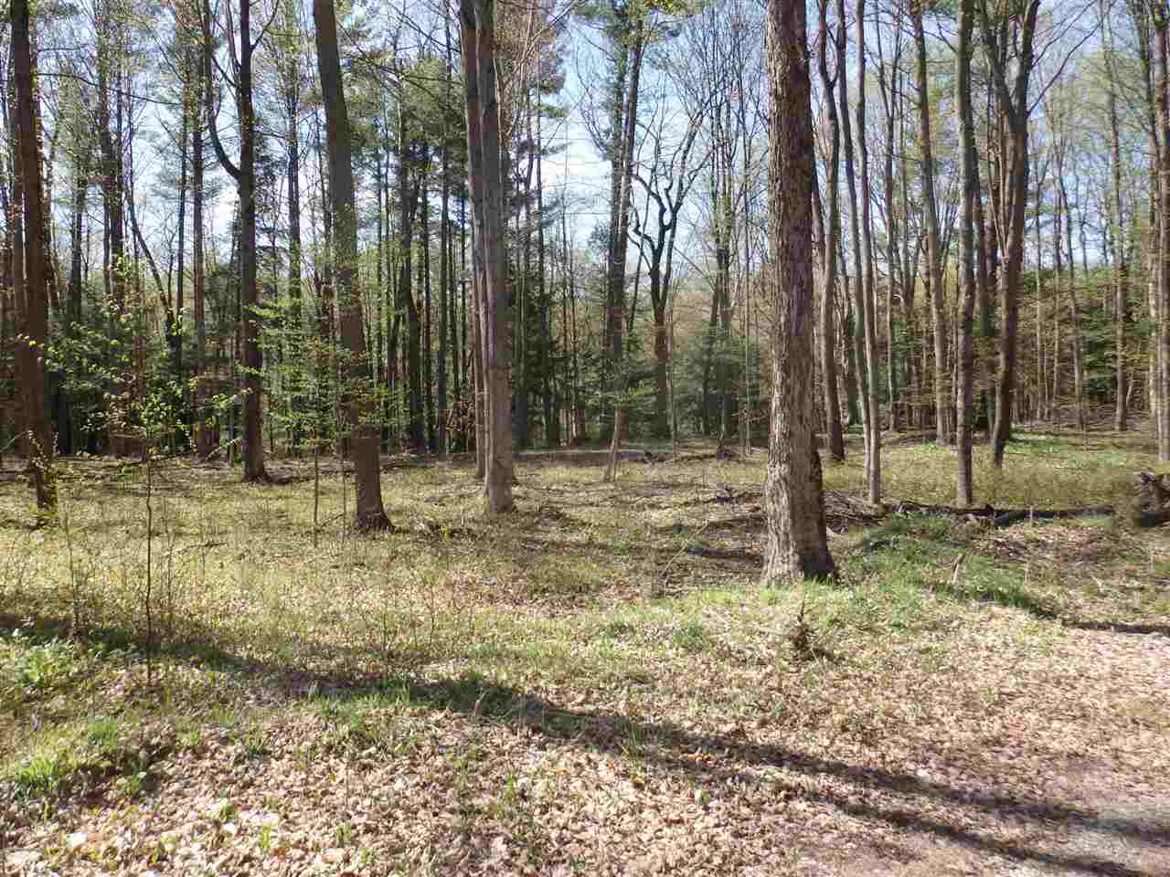 Oravainen Road, Unit PARCEL B Kaleva, MI 49645 - Photo 18 of 25