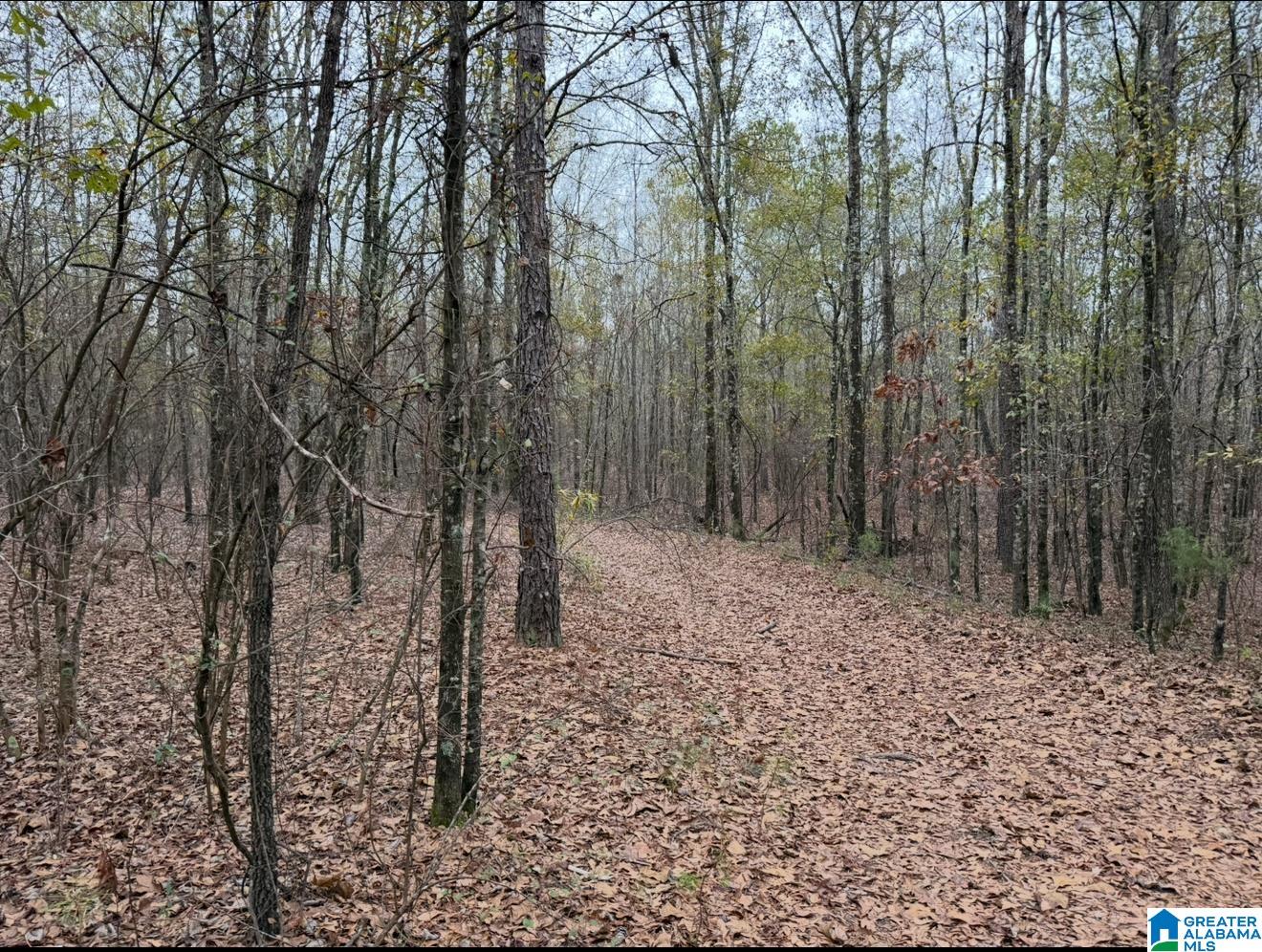 32 North County Road, Unit 1 Deatsville, AL 36022 - Photo 4 of 10