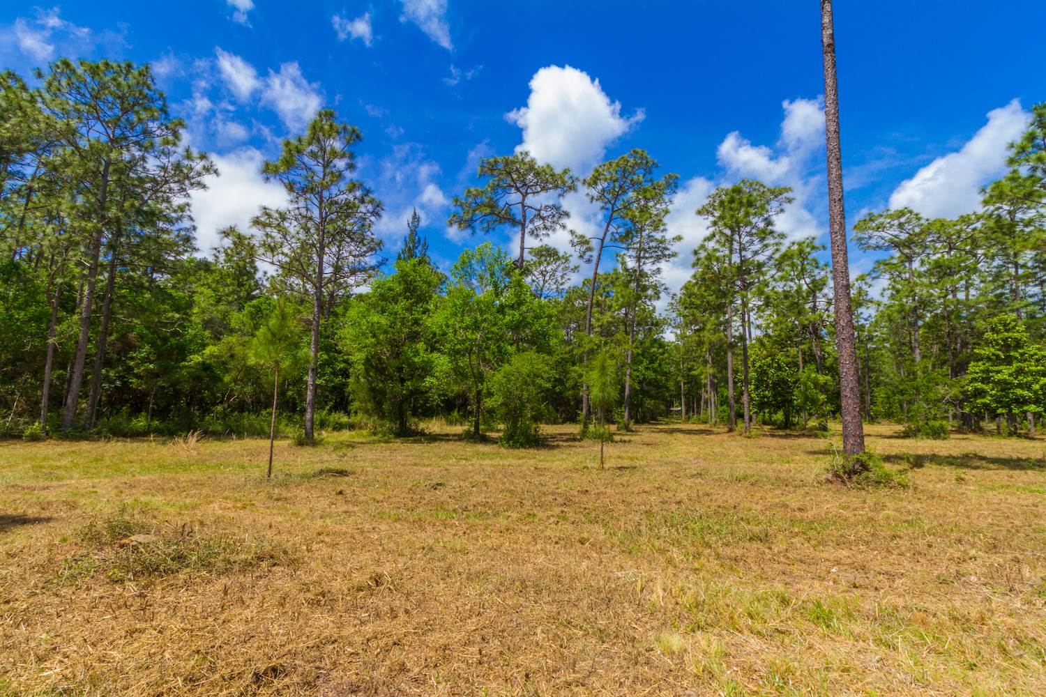 8844 Red Fish Pt Road Lillian, AL 36549 - Photo 12 of 16